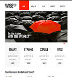 WordPress Themes - GoWebBaby.Com