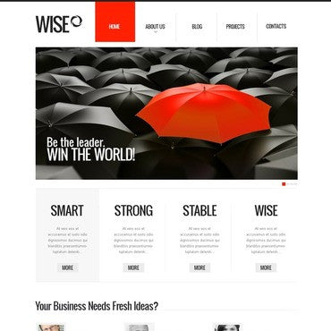 WordPress Themes - GoWebBaby.Com