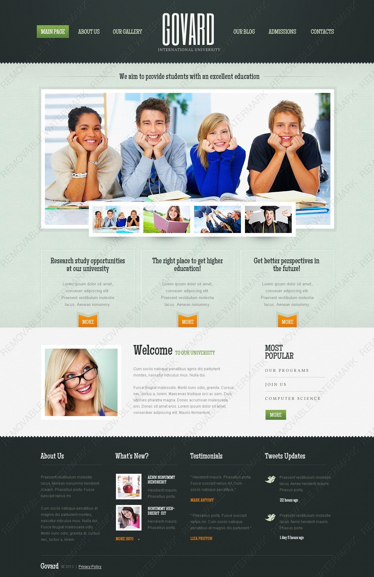 WordPress Themes - GoWebBaby.Com
