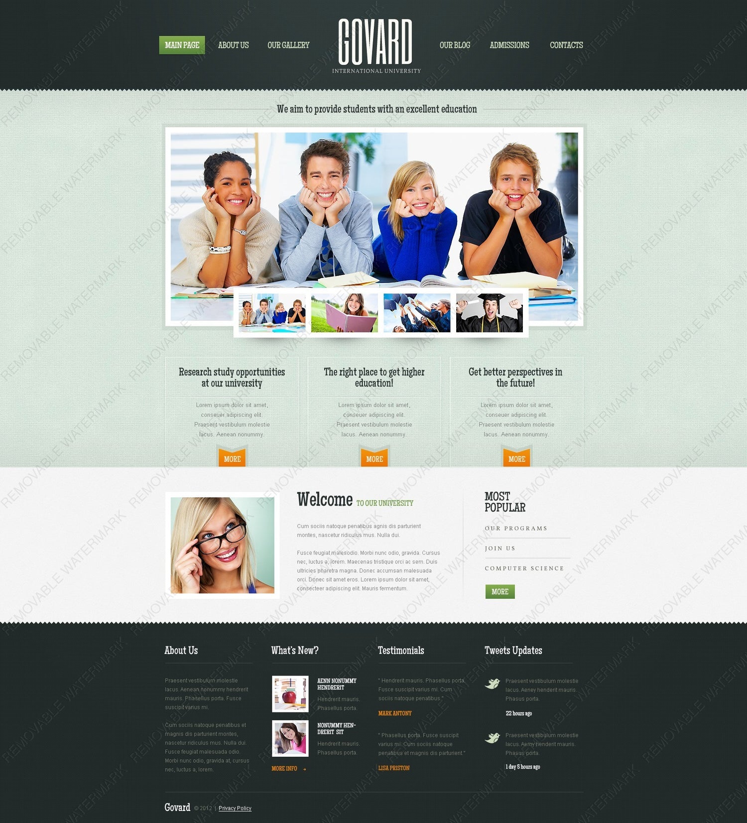 WordPress Themes - GoWebBaby.Com