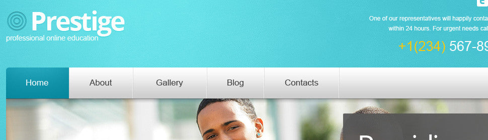 WordPress Themes - GoWebBaby.Com