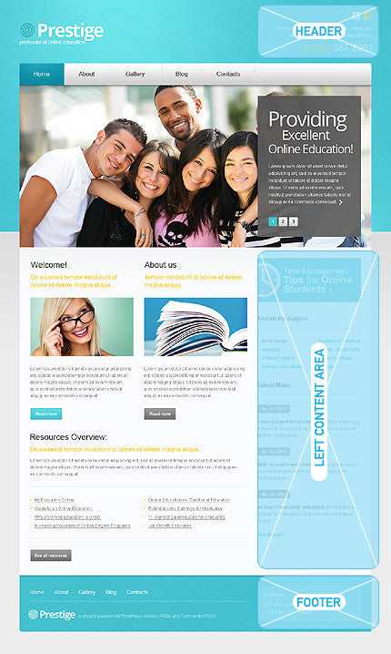 WordPress Themes - GoWebBaby.Com