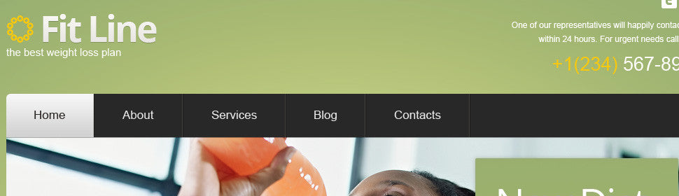 WordPress Themes - GoWebBaby.Com