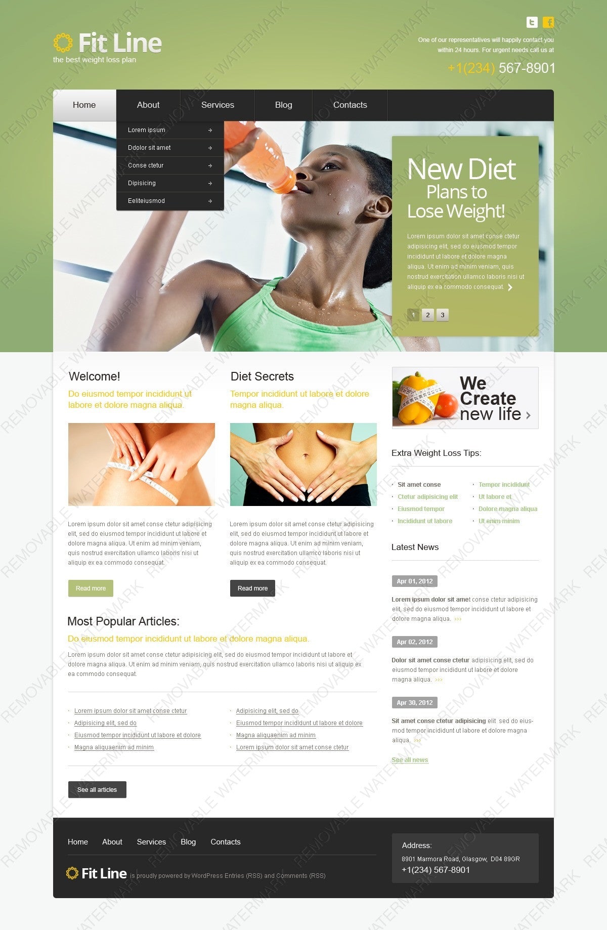 WordPress Themes - GoWebBaby.Com