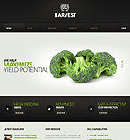 WordPress Themes - GoWebBaby.Com