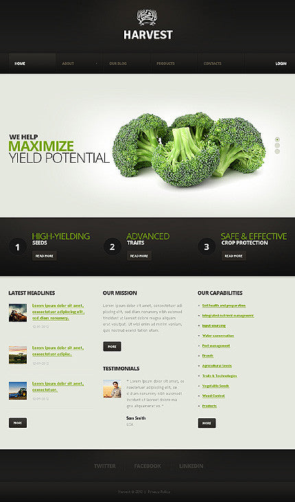 WordPress Themes - GoWebBaby.Com