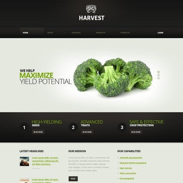WordPress Themes - GoWebBaby.Com