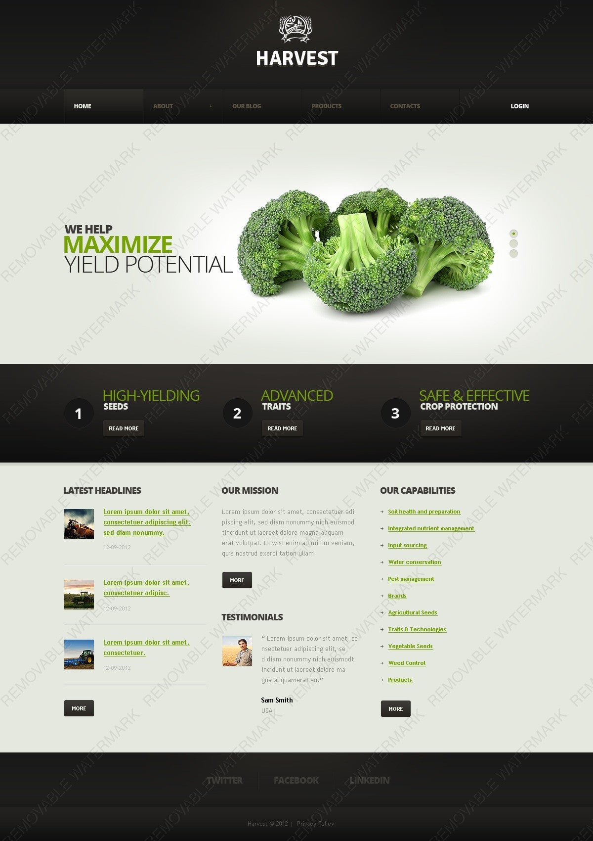 WordPress Themes - GoWebBaby.Com
