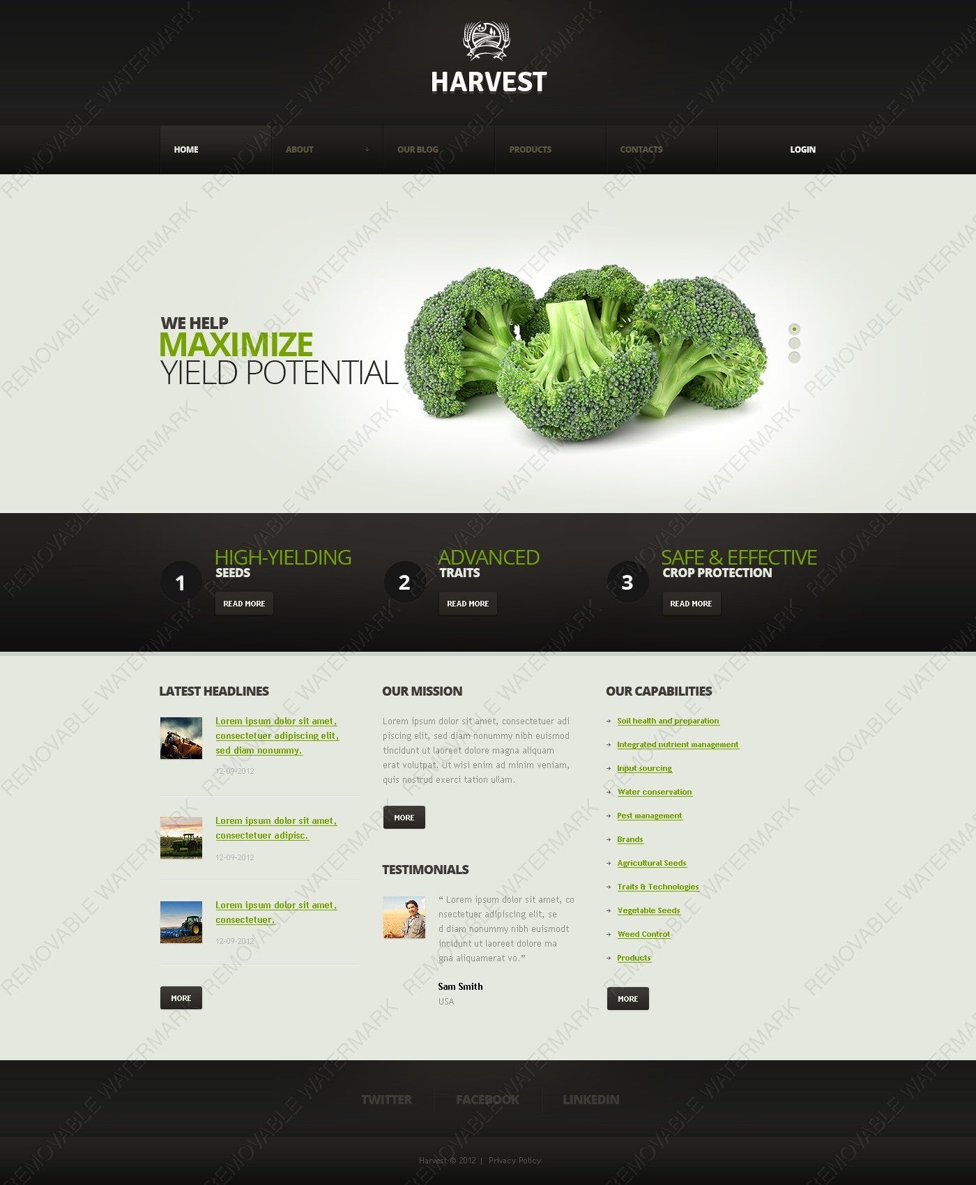 WordPress Themes - GoWebBaby.Com