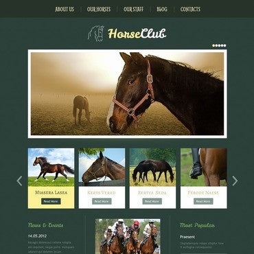 WordPress Themes - GoWebBaby.Com