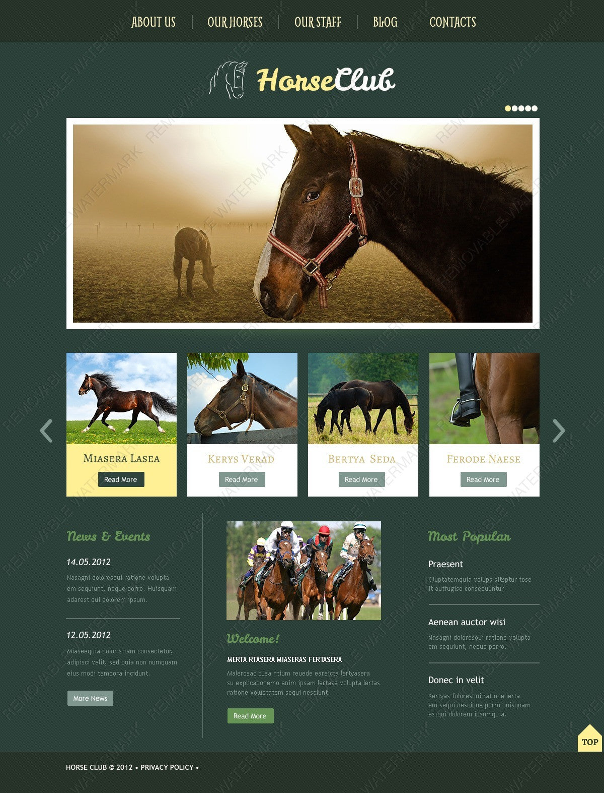 WordPress Themes - GoWebBaby.Com