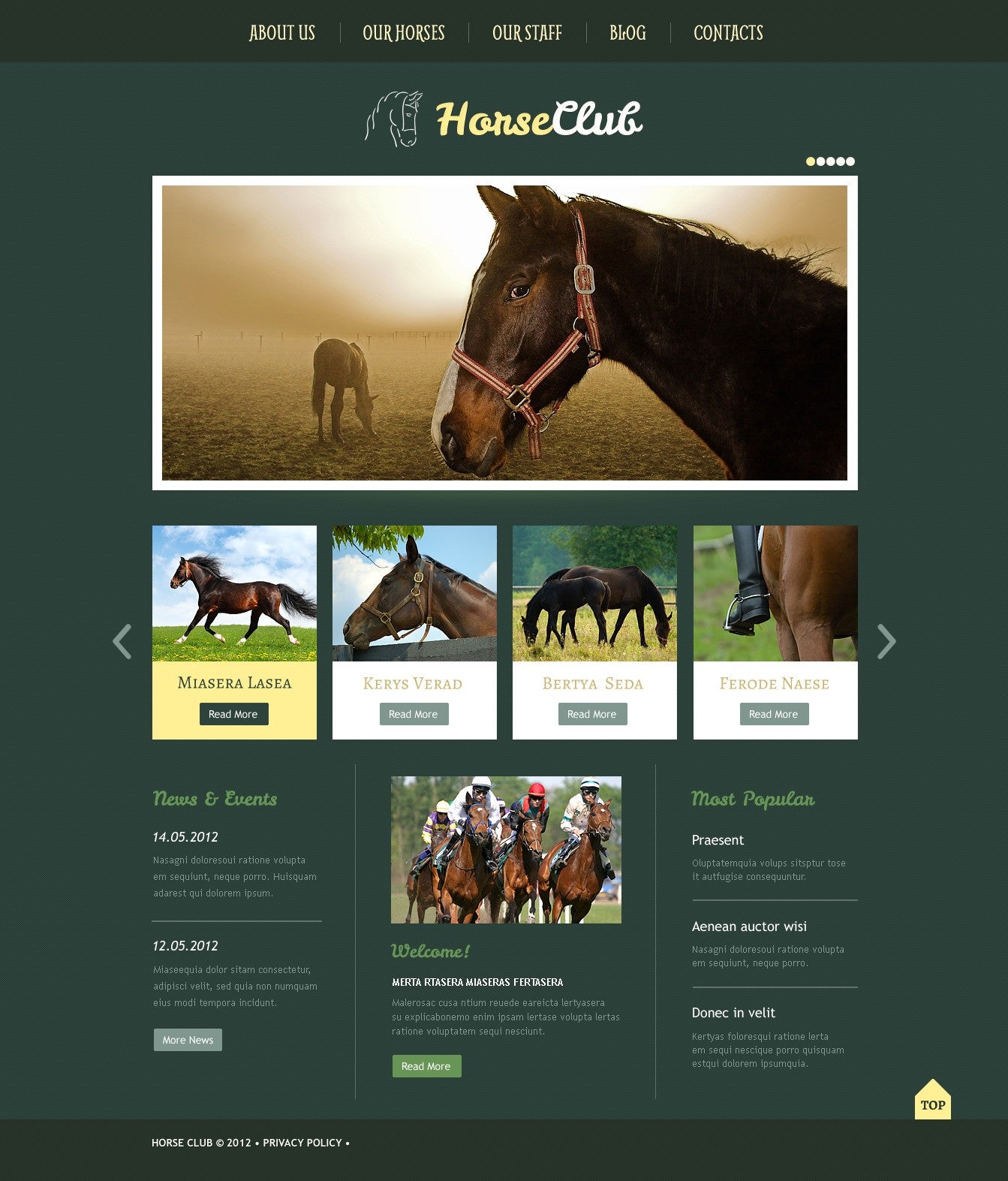WordPress Themes - GoWebBaby.Com