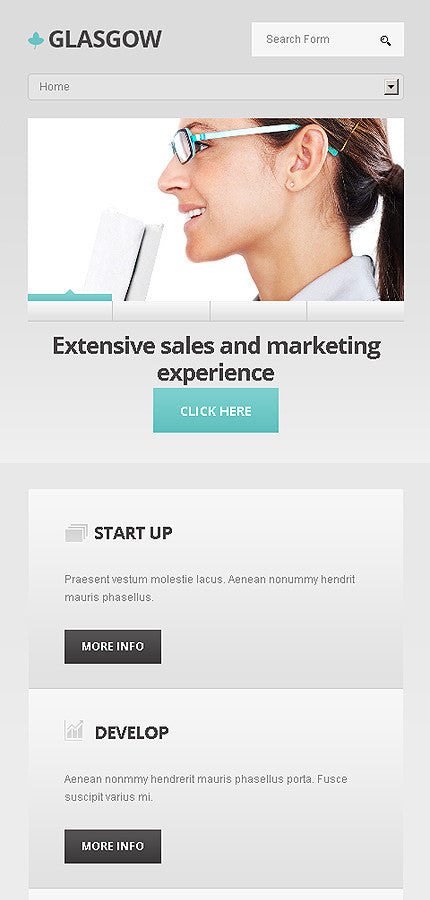 WordPress Themes - GoWebBaby.Com