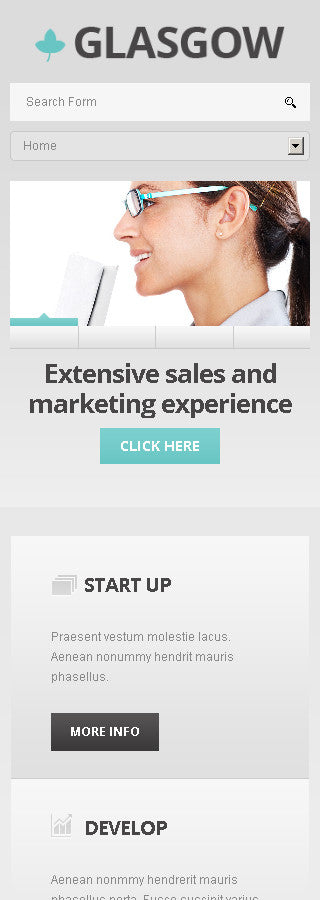 WordPress Themes - GoWebBaby.Com
