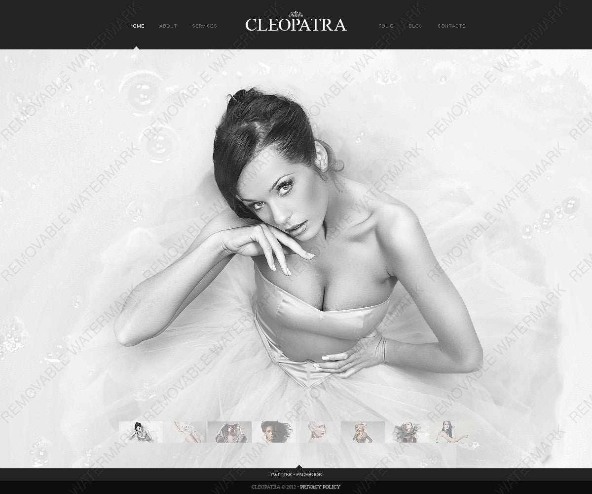 WordPress Themes - GoWebBaby.Com