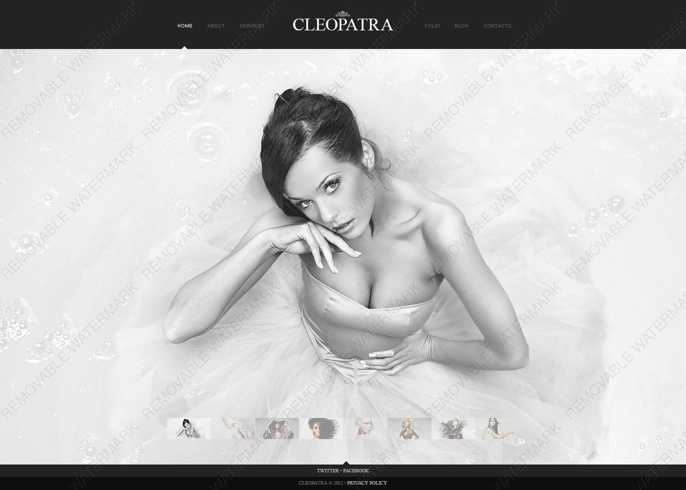 WordPress Themes - GoWebBaby.Com