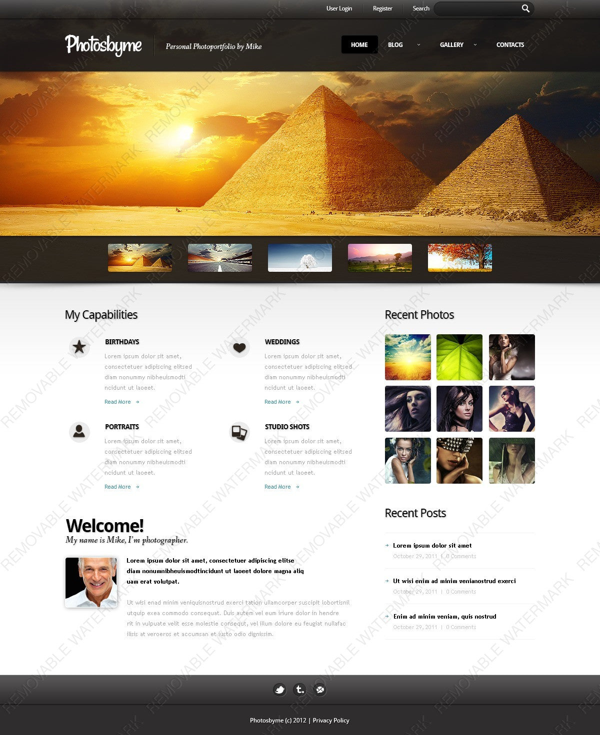WordPress Themes - GoWebBaby.Com