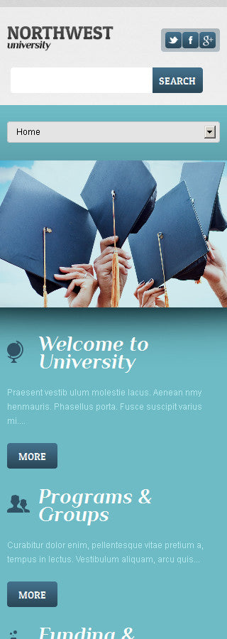 WordPress Themes - GoWebBaby.Com