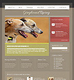 WordPress Themes - GoWebBaby.Com