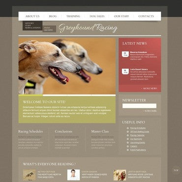 WordPress Themes - GoWebBaby.Com
