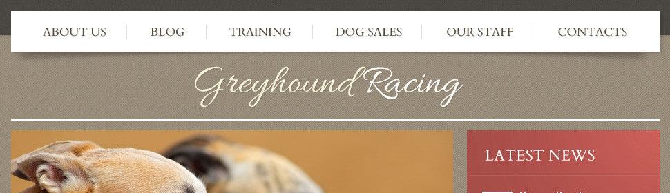 WordPress Themes - GoWebBaby.Com