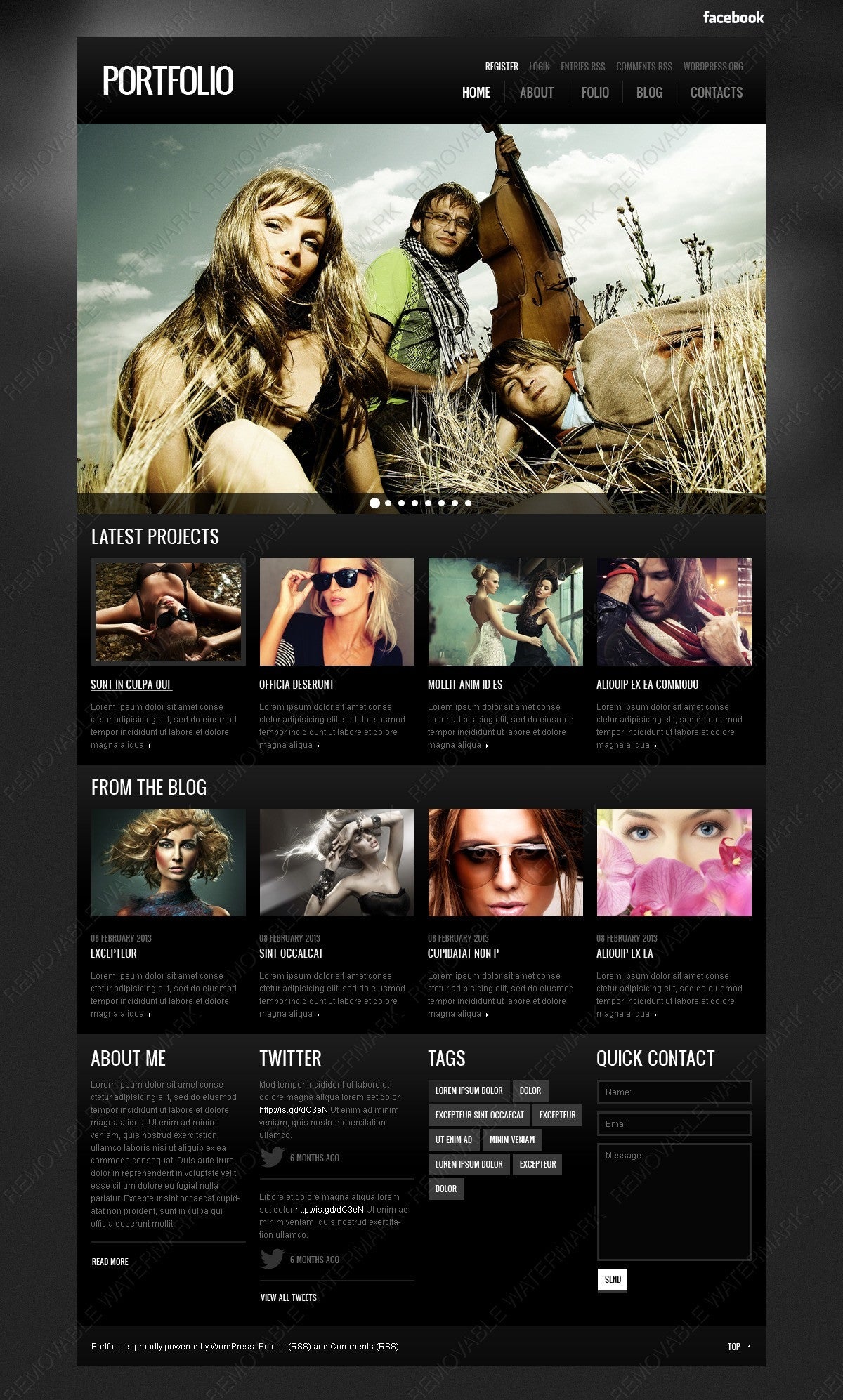 WordPress Themes - GoWebBaby.Com
