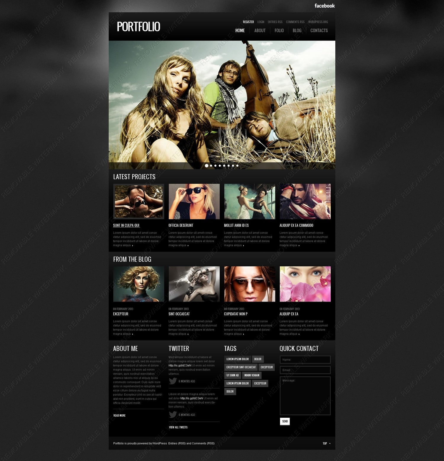 WordPress Themes - GoWebBaby.Com