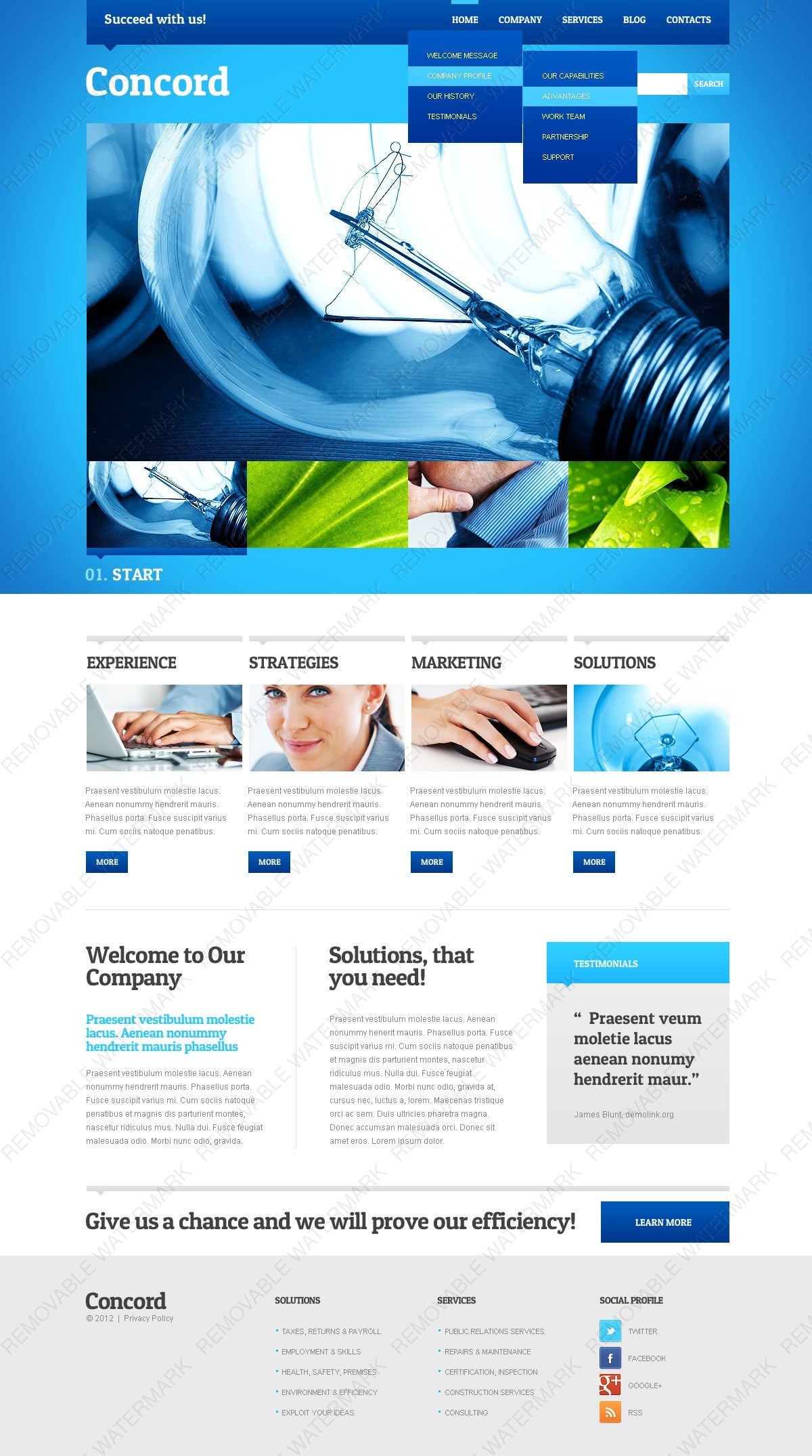 WordPress Themes - GoWebBaby.Com