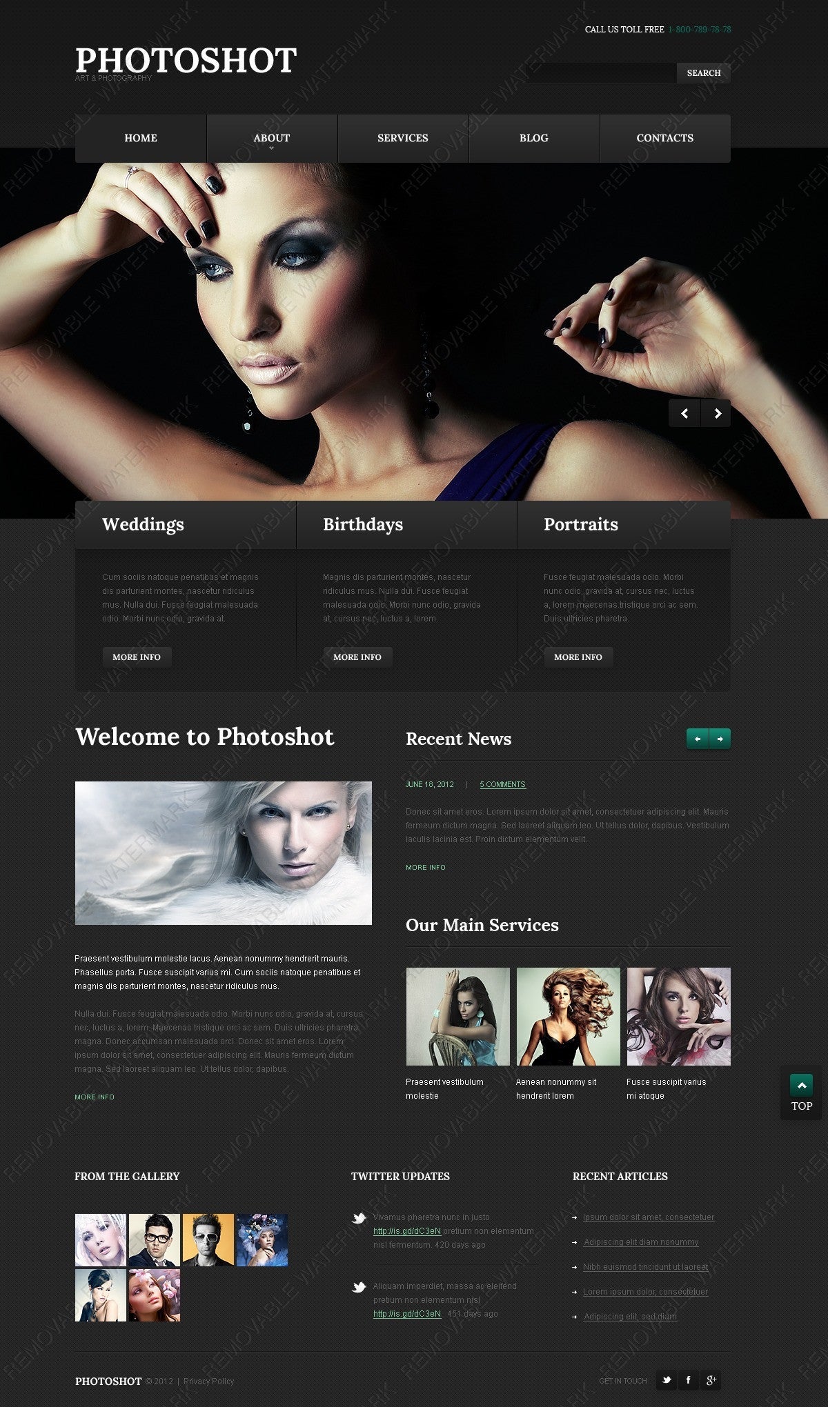 WordPress Themes - GoWebBaby.Com