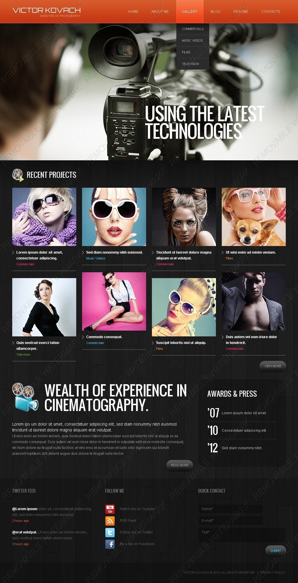 WordPress Themes - GoWebBaby.Com