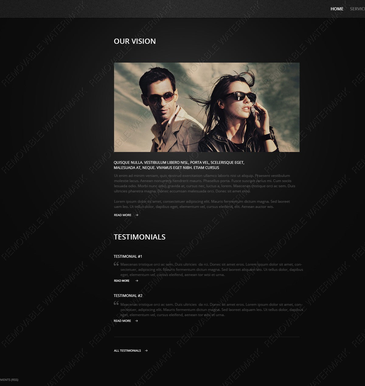 WordPress Themes - GoWebBaby.Com