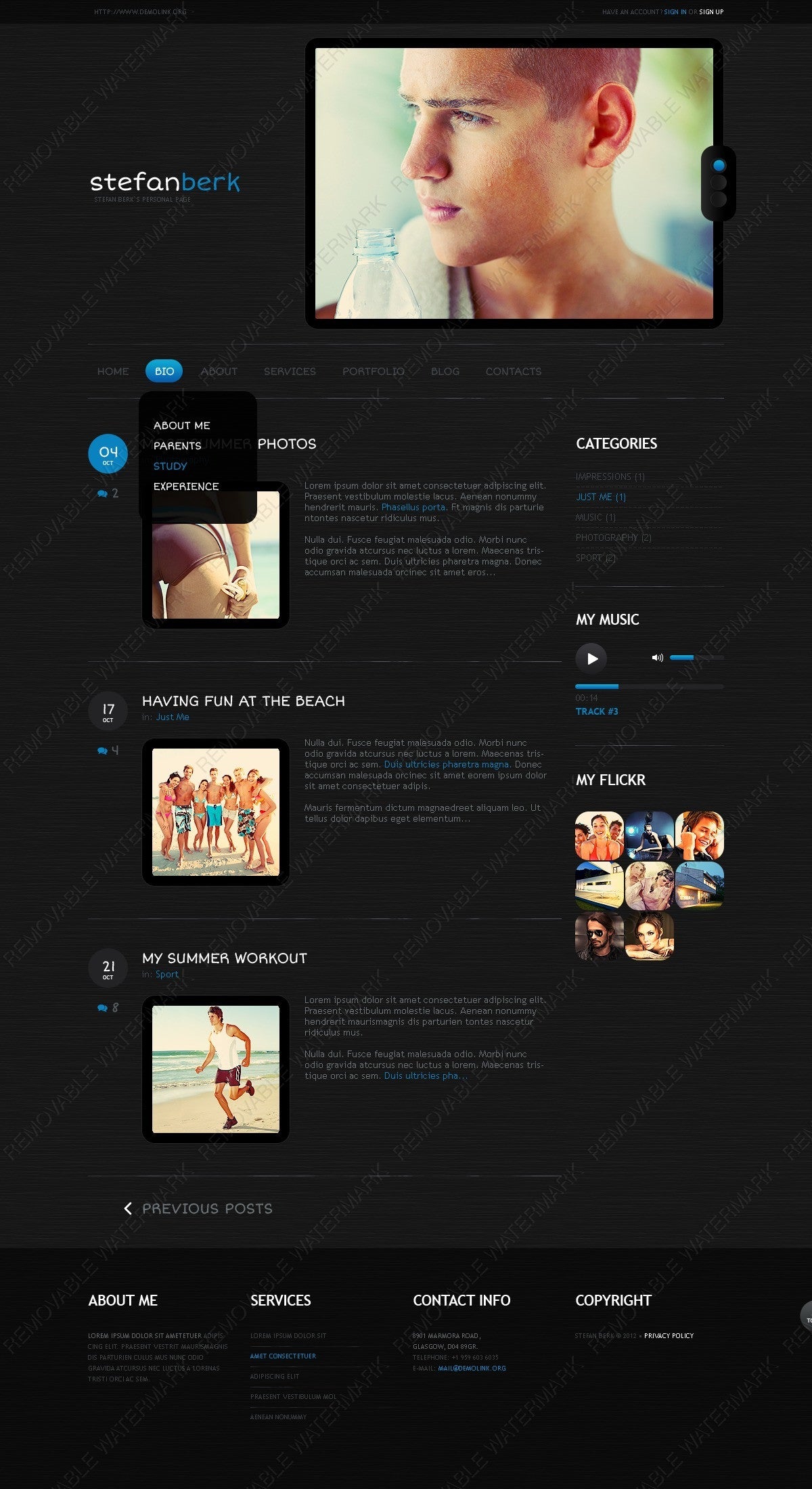 WordPress Themes - GoWebBaby.Com