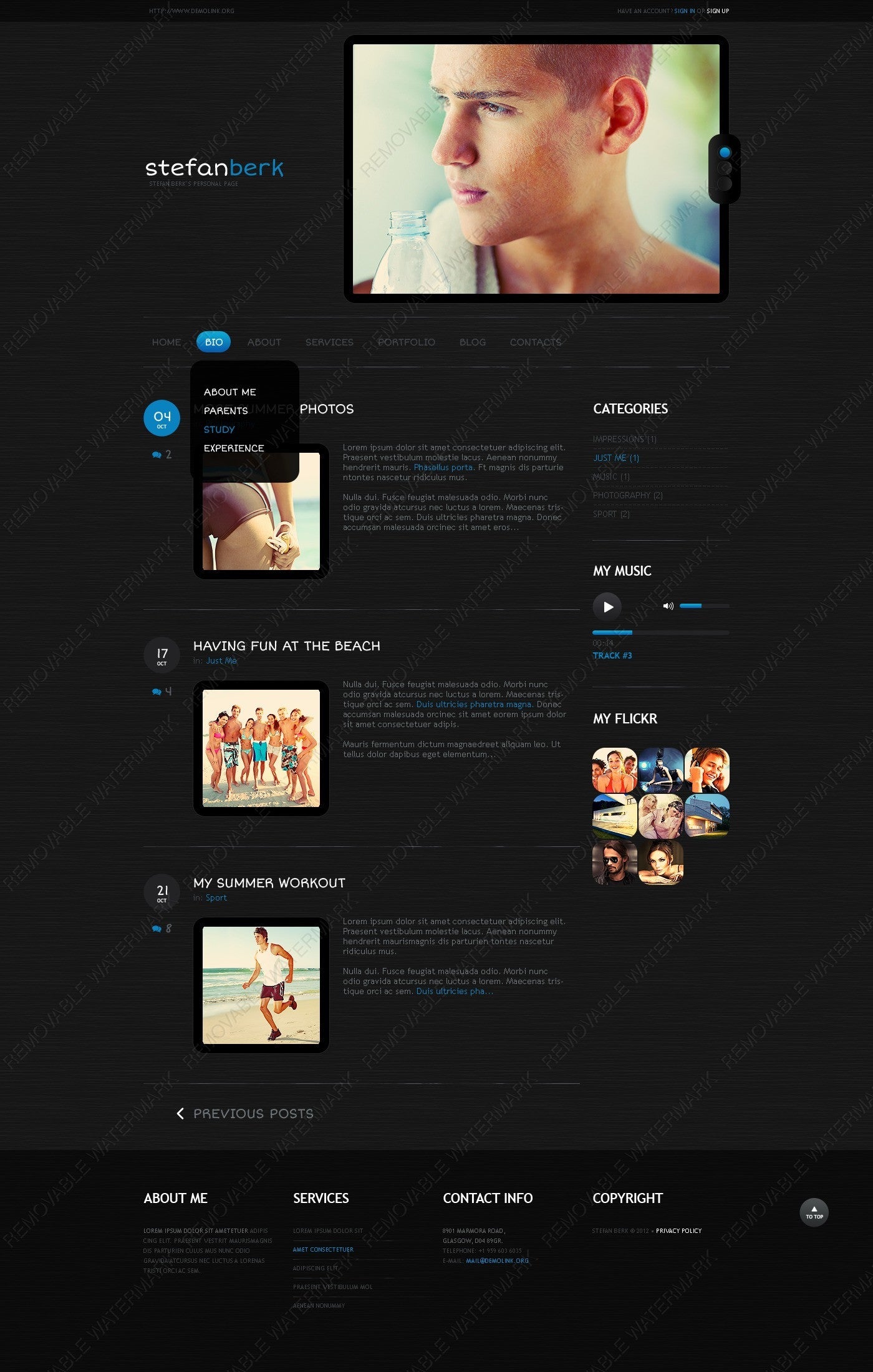 WordPress Themes - GoWebBaby.Com