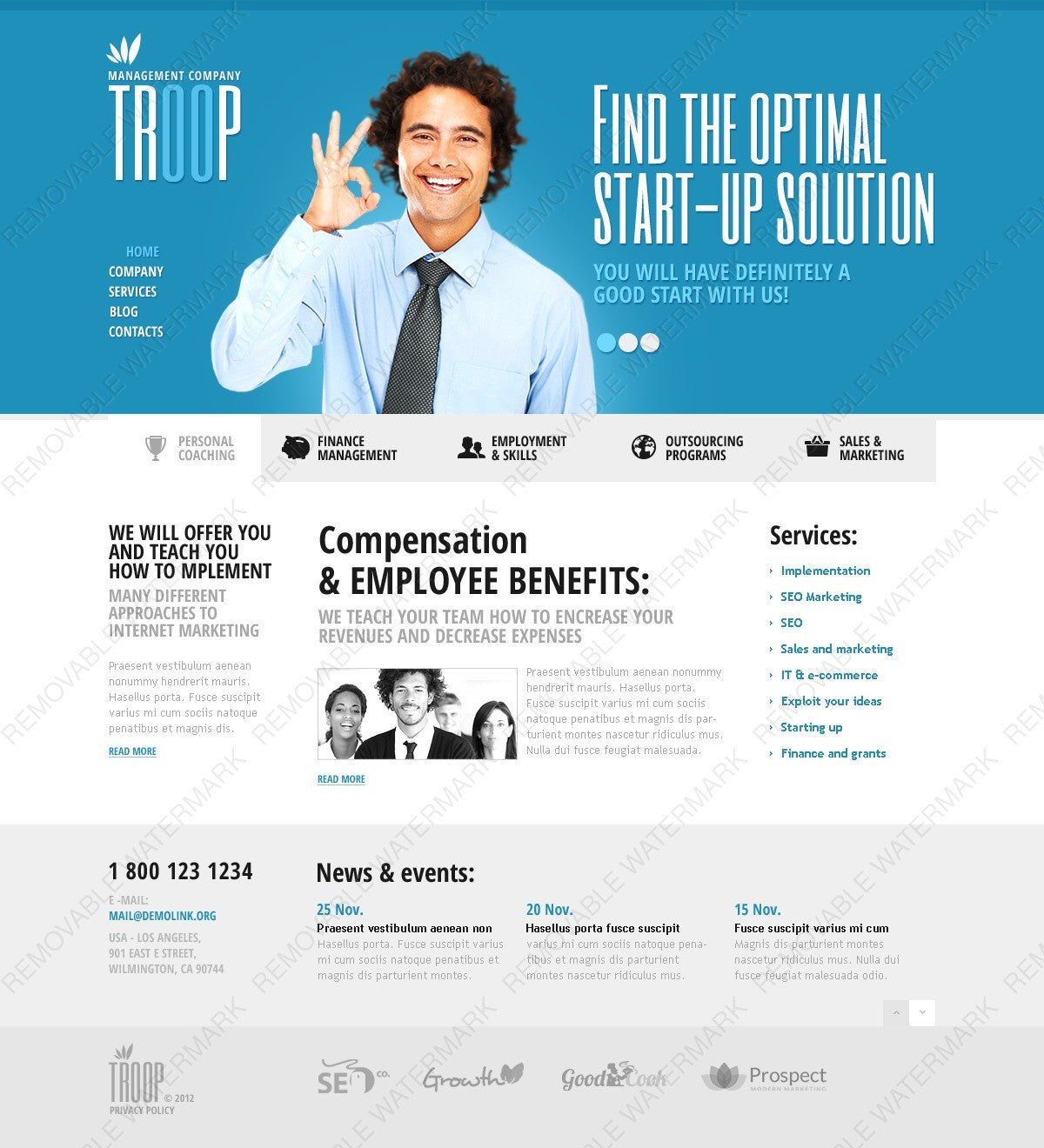 WordPress Themes - GoWebBaby.Com