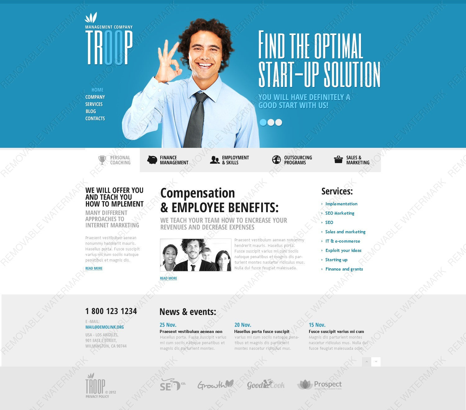 WordPress Themes - GoWebBaby.Com