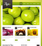 WordPress Themes - GoWebBaby.Com