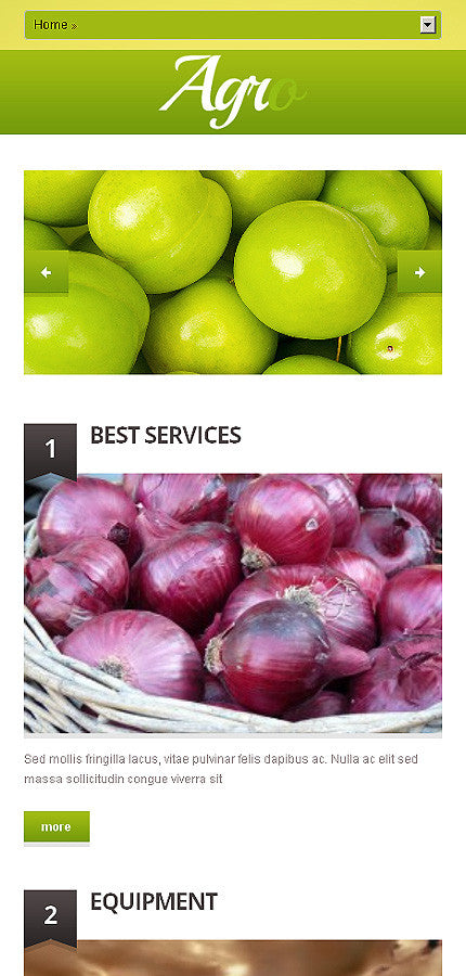 WordPress Themes - GoWebBaby.Com