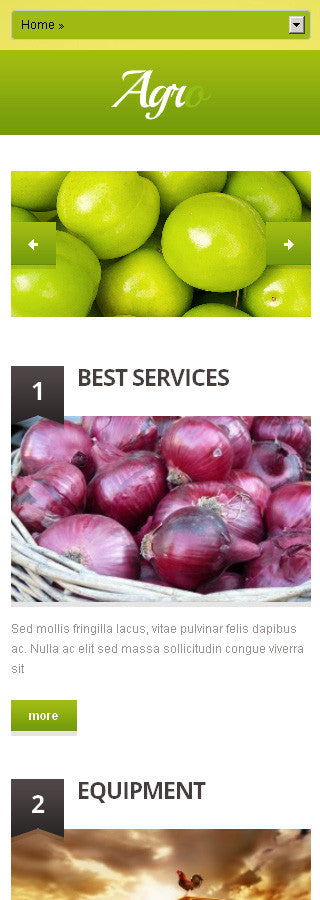 WordPress Themes - GoWebBaby.Com