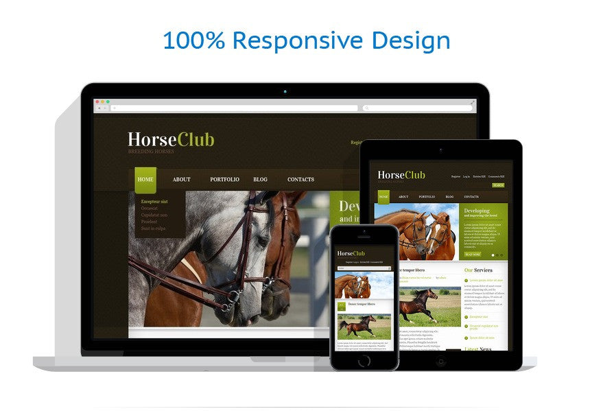 WordPress Themes - GoWebBaby.Com