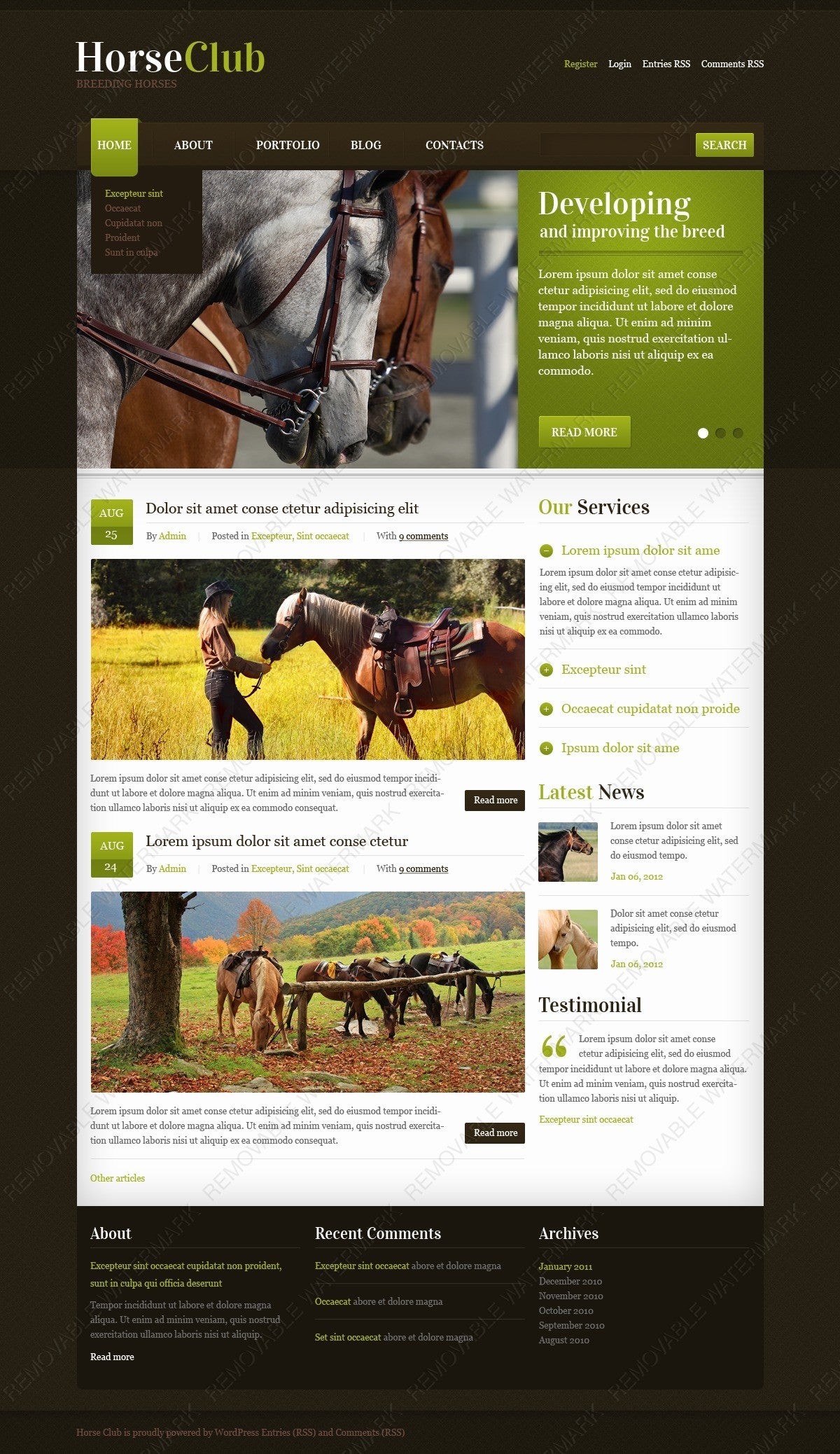 WordPress Themes - GoWebBaby.Com