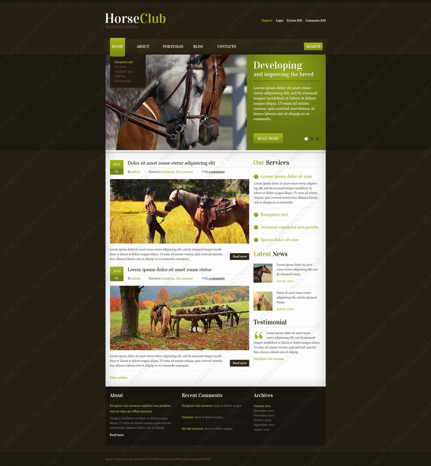 WordPress Themes - GoWebBaby.Com