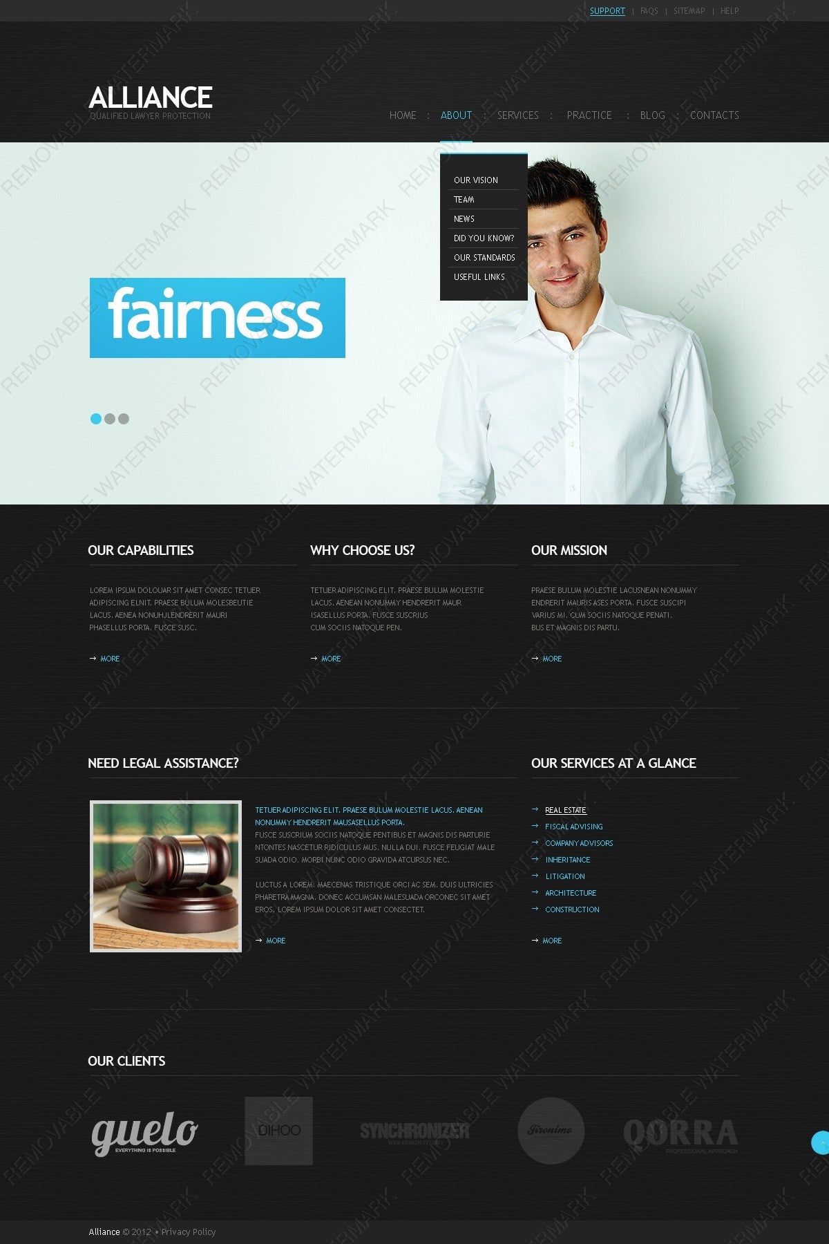 WordPress Themes - GoWebBaby.Com