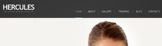 WordPress Themes - GoWebBaby.Com