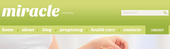 WordPress Themes - GoWebBaby.Com