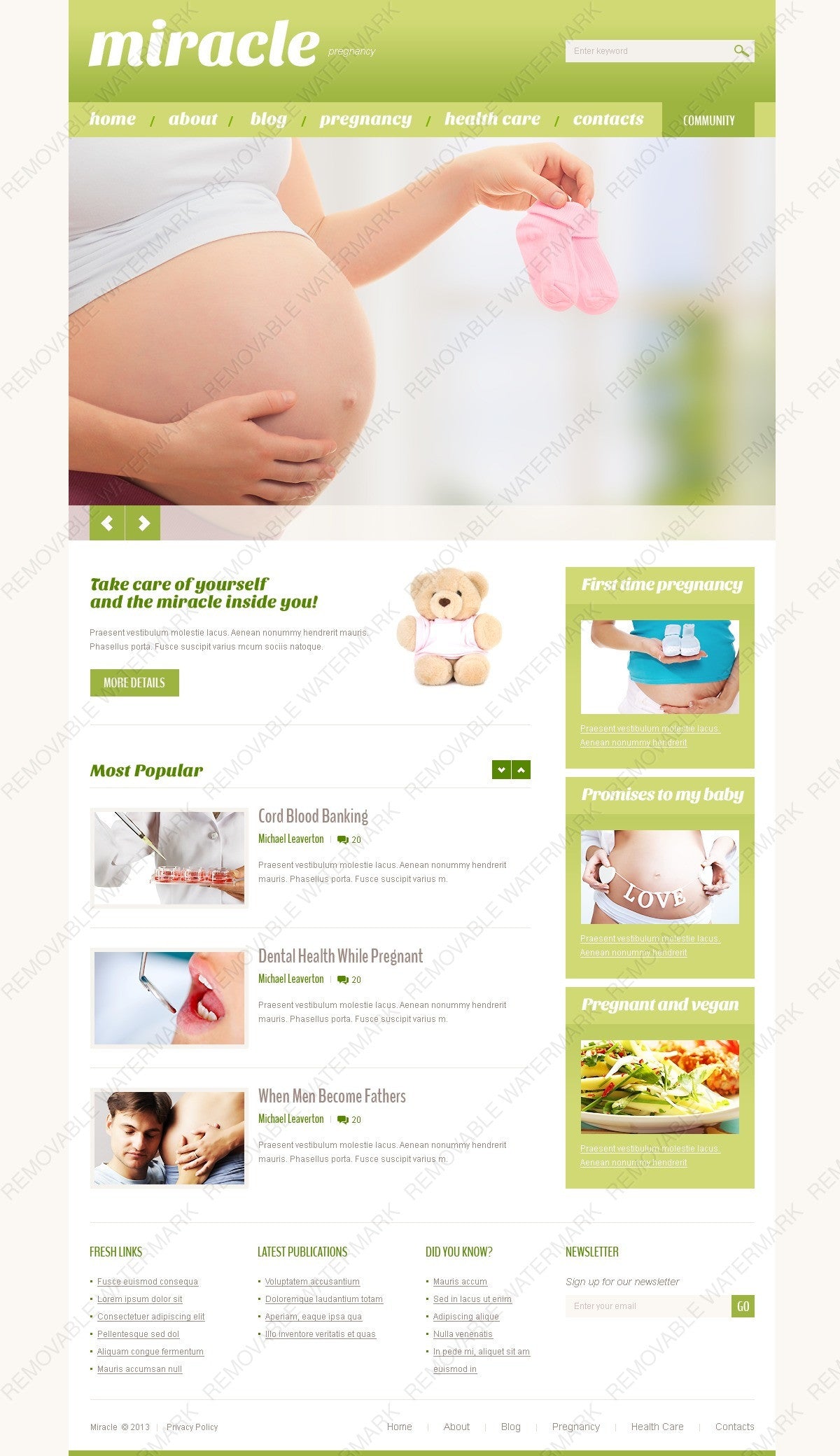 WordPress Themes - GoWebBaby.Com