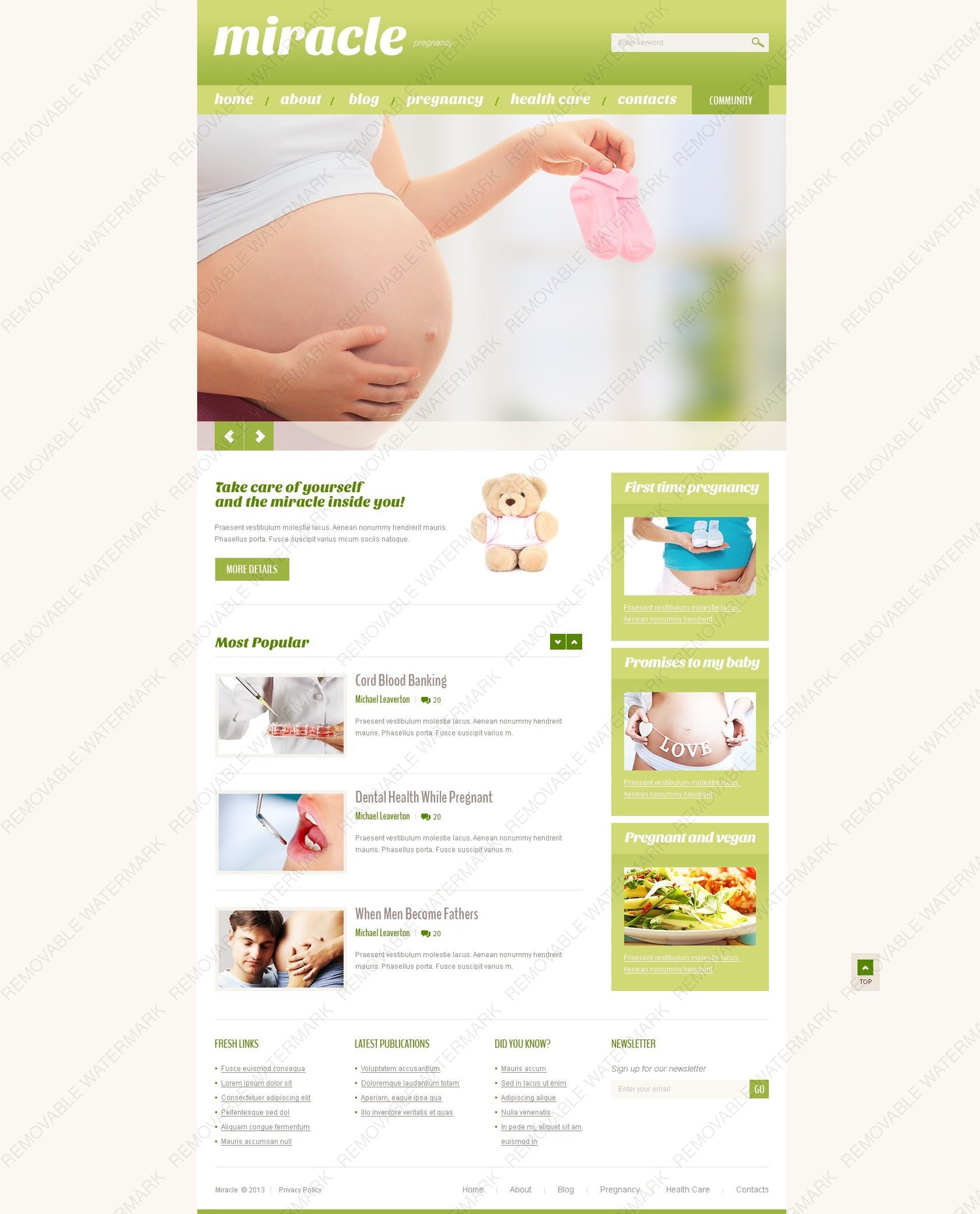 WordPress Themes - GoWebBaby.Com
