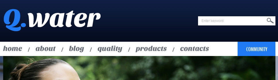 WordPress Themes - GoWebBaby.Com