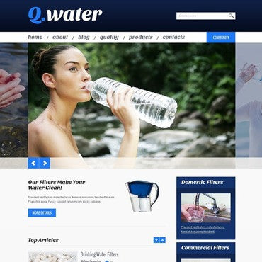 WordPress Themes - GoWebBaby.Com