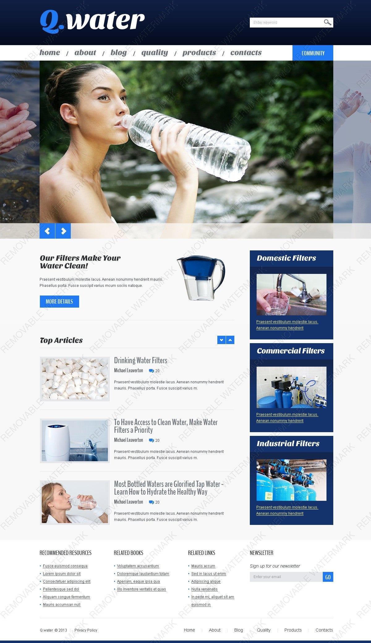 WordPress Themes - GoWebBaby.Com