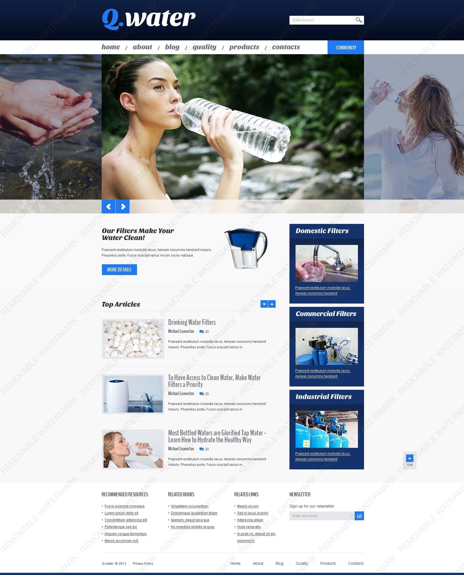 WordPress Themes - GoWebBaby.Com